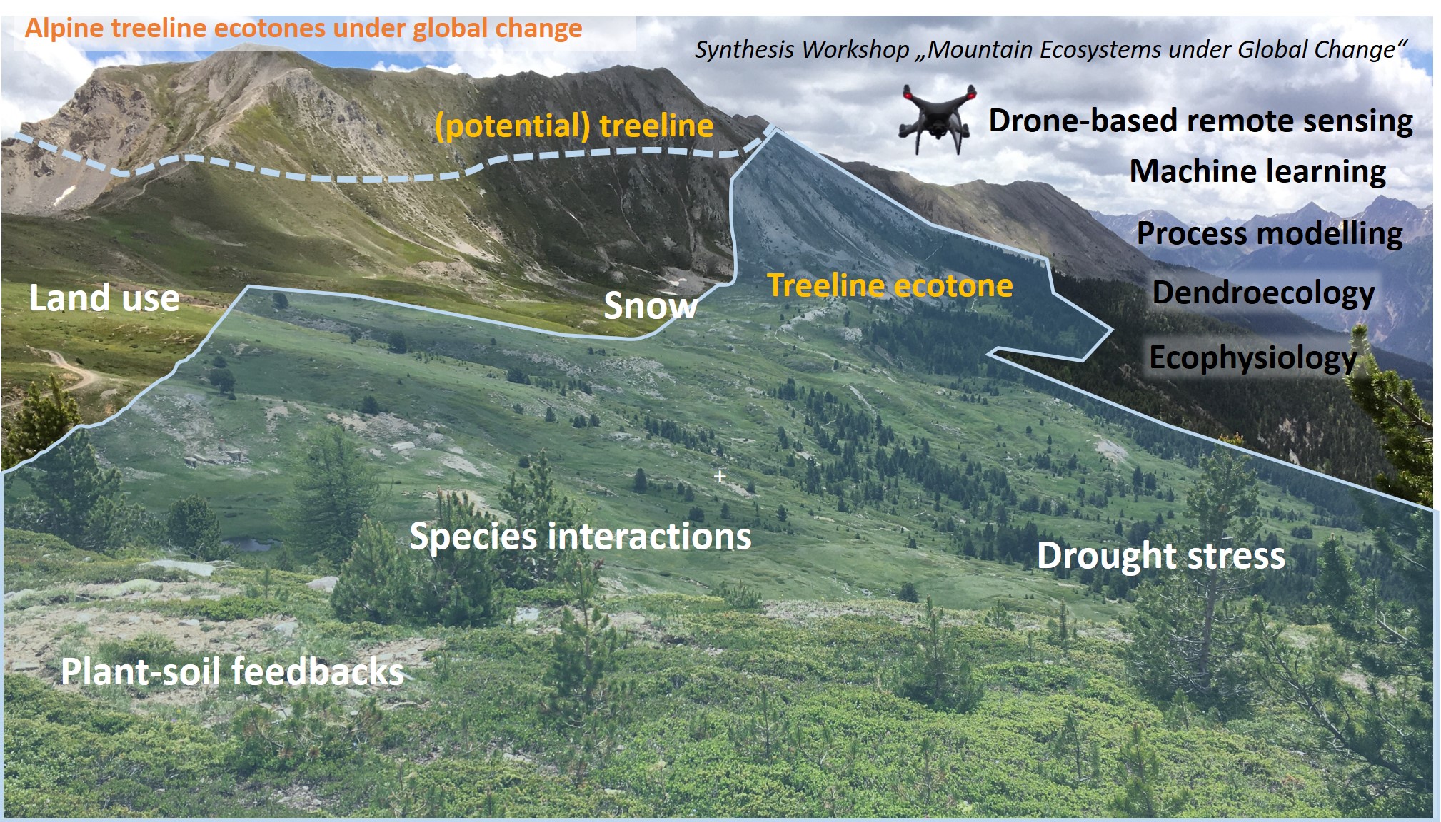 IMC2022 treeline session summary 2